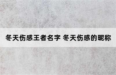 冬天伤感王者名字 冬天伤感的昵称